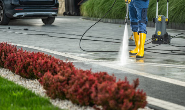 Best Sidewalk and Walkway Cleaning  in Meadow Les, AK